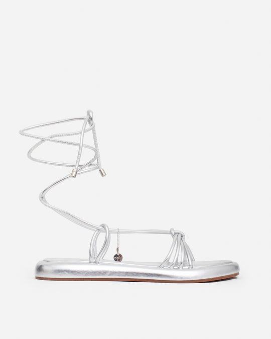 Transformative Prateado