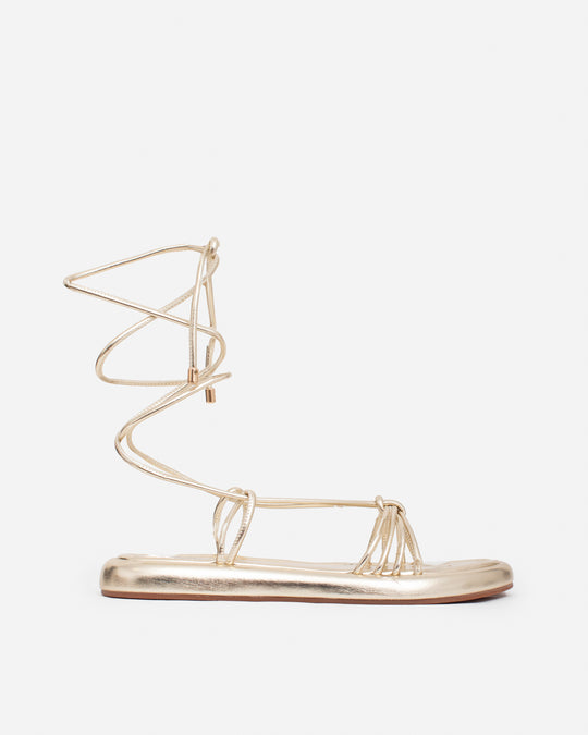 Transformative Dourado