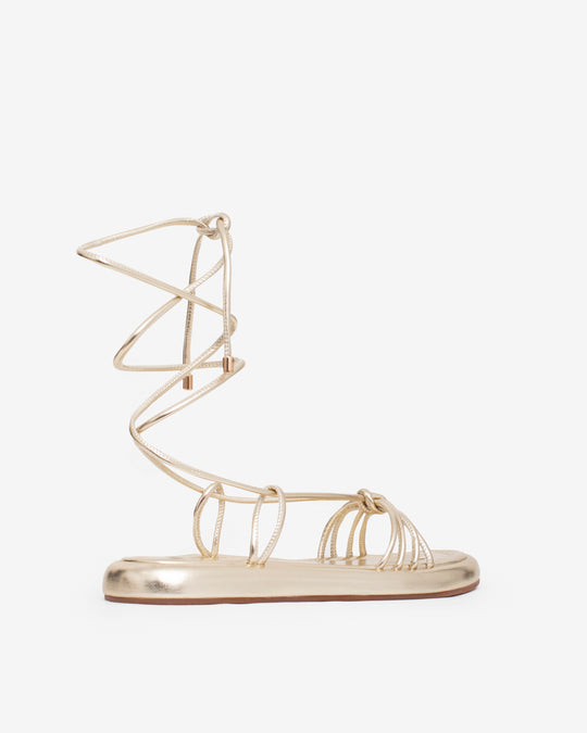 Transformative Dourado