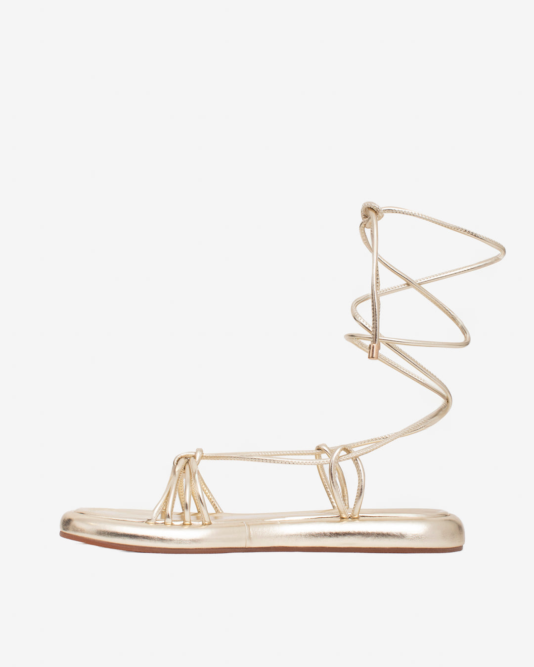 Transformative Dourado